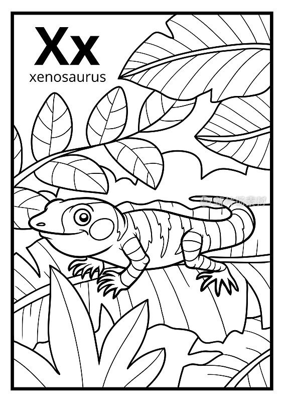 着色书，无色字母。字母X, xenosaurus